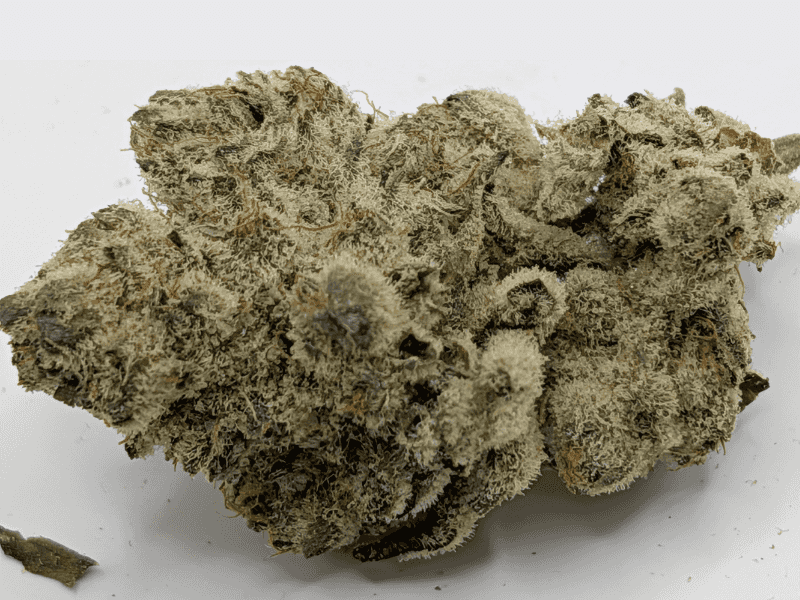 קנאביס רפואי תפרחת ג'לטיקס - T22/C4 - Gelatix גרינקום יום - סאטיבה