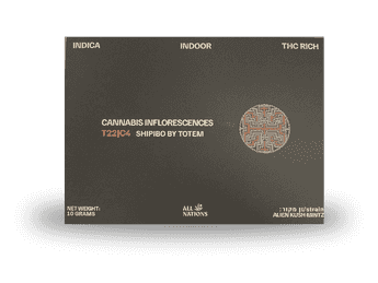 תפרחת שיפיבו - T22/C4 - Shipibo