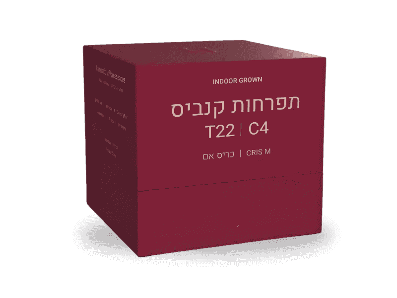קנאביס רפואי תפרחת כריס אם - T22/C4 - Cris M פיס נטורלס לילה - אינדיקה