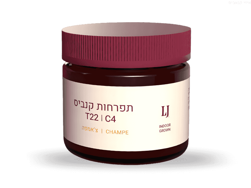 קנאביס רפואי תפרחת צ'אמפה - T22/C4 - Champe פיס נטורלס לילה - אינדיקה