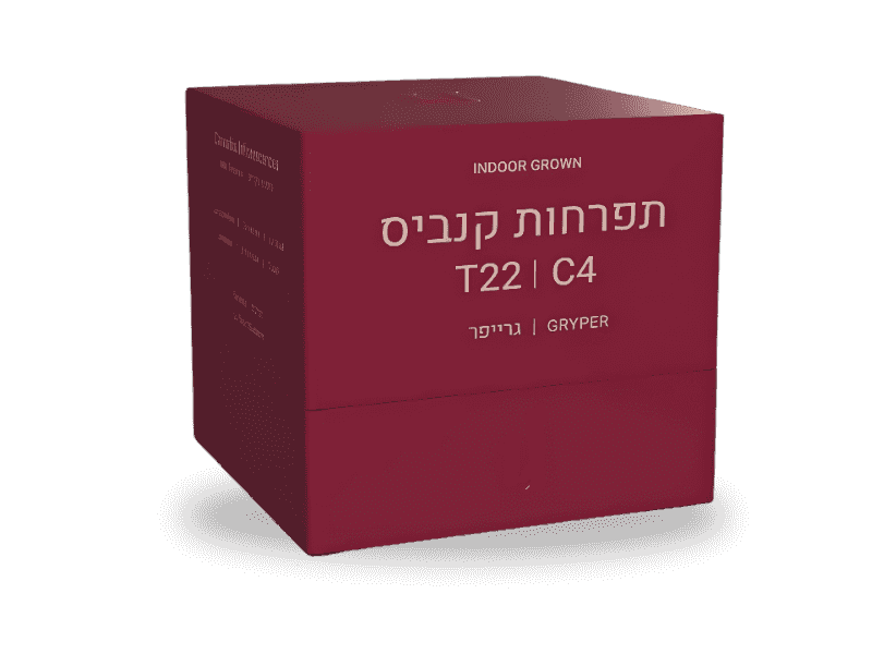 קנאביס רפואי תפרחת גרייפר - T22/C4 - Gryper פיס נטורלס לילה - אינדיקה