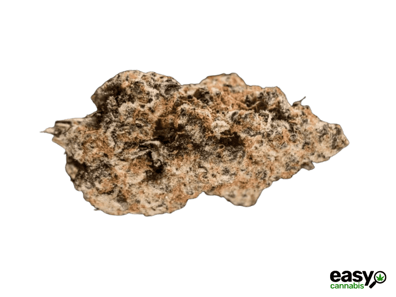 קנאביס רפואי תפרחת גרייפר - T22/C4 - Gryper פיס נטורלס לילה - אינדיקה