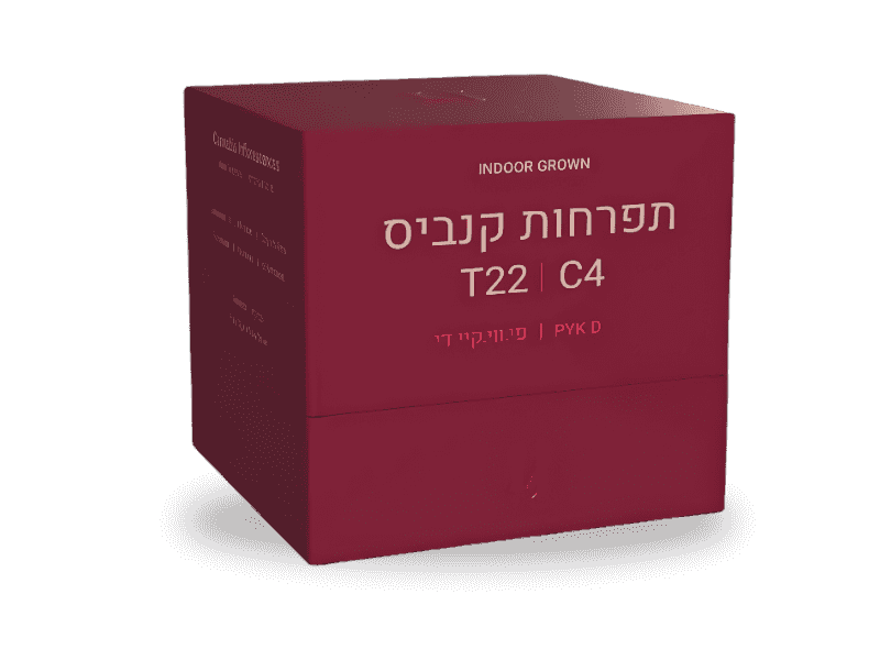 קנאביס רפואי תפרחת פי.ווי.קי די - T22/C4 - PYK D פיס נטורלס יום - סאטיבה