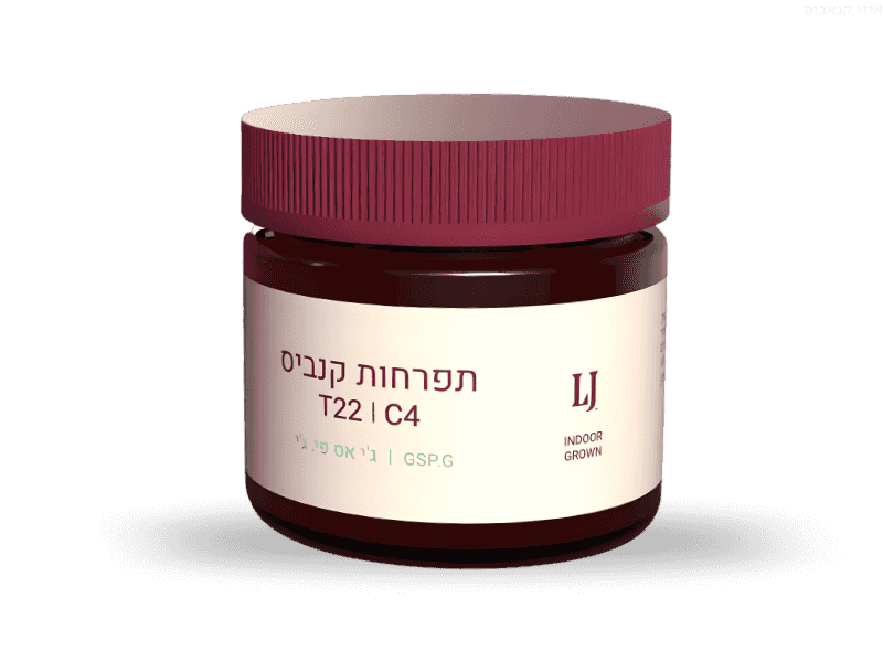 קנאביס רפואי תפרחת ג'י אס פי.ג'י - T22/C4 - GSP.G פיס נטורלס יום\לילה - היברידי