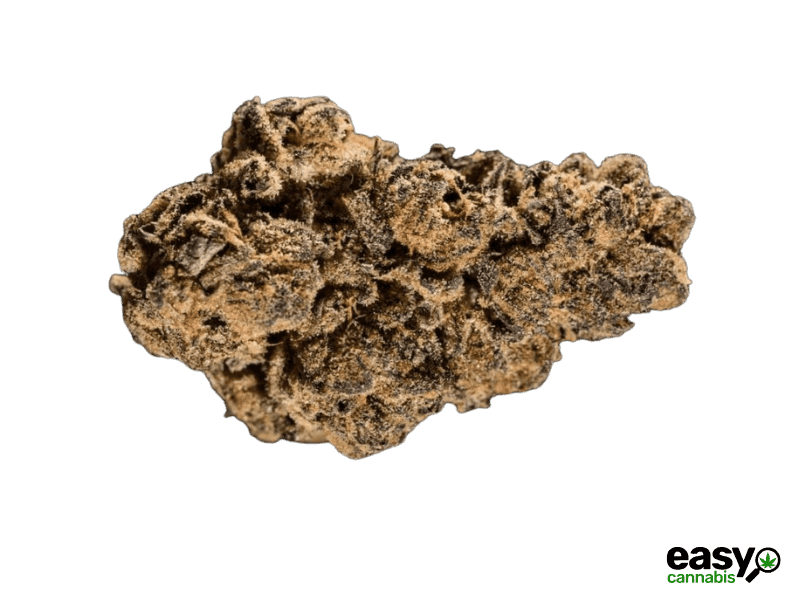 קנאביס רפואי תפרחת ג'י אס פי.ג'י - T22/C4 - GSP.G פיס נטורלס יום\לילה - היברידי