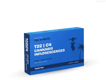 תפרחת טיקי ג'י-מנטז  - T22/C4 - TIKI G-MNTZ