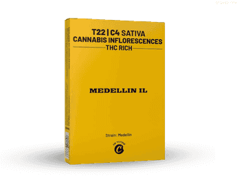 תפרחת מדיין איי אל - T22/C4 - Medellin IL