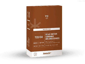 תפרחת וי12 - T22/C4 - V12