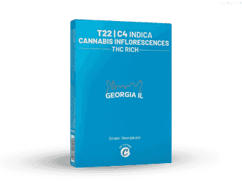 תפרחת ג'ורג'יה איי אל  - T22/C4 - Georgia IL