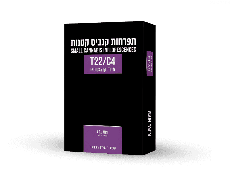 קנאביס רפואי תפרחת איי.פי.אל מיני - T22/C4 - A.P.L Mini גרין האוס לילה - אינדיקה