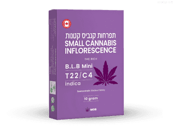 תפרחת בי אל בי מיני - T22/C4 - B.L.B Mini