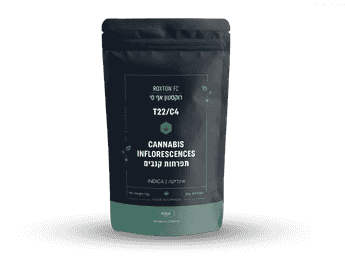 תפרחת רוקסטון אף סי - T22/C4 - ROXTAN FC