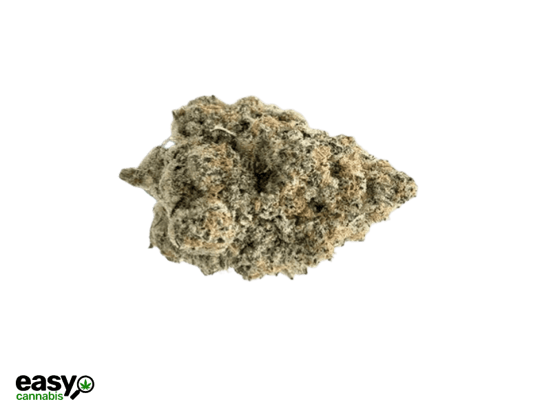 קנאביס רפואי תפרחת קוי - T22/C4 - Koi קול מדיקל יום\לילה - היברידי