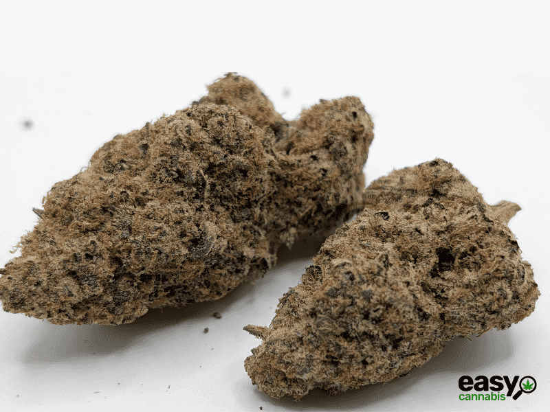 קנאביס רפואי תפרחת קוי - T22/C4 - Koi קול מדיקל יום\לילה - היברידי