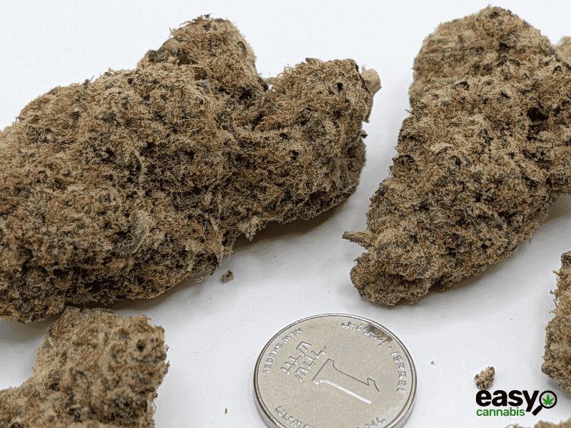 קנאביס רפואי תפרחת קוי - T22/C4 - Koi קול מדיקל יום\לילה - היברידי