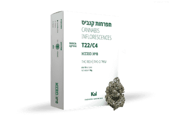תפרחת מיזו - T22/C4 - Mizo