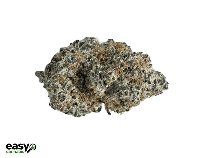 קנאביס רפואי תפרחת מיזו - T22/C4 - Mizo קול מדיקל לילה - אינדיקה