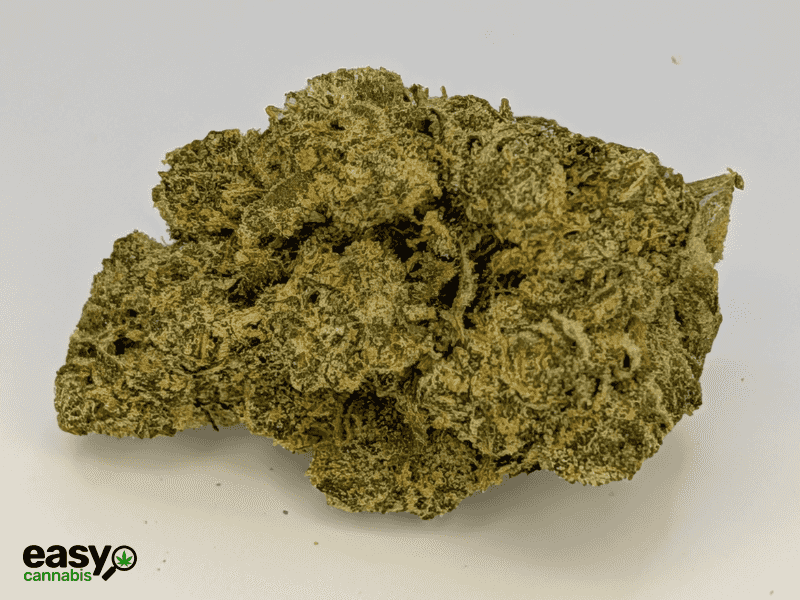 קנאביס רפואי תפרחת וודינג סי קיי - T22/C4 - Wedding CK פיס נטורלס יום\לילה - היברידי