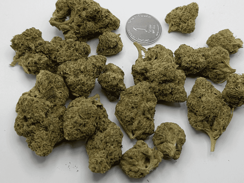 קנאביס רפואי תפרחת וודינג סי קיי - T22/C4 - Wedding CK פיס נטורלס יום\לילה - היברידי