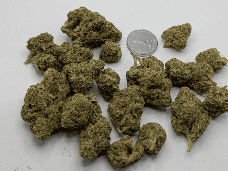 קנאביס רפואי תפרחת וודינג סי קיי - T22/C4 - Wedding CK פיס נטורלס יום\לילה - היברידי