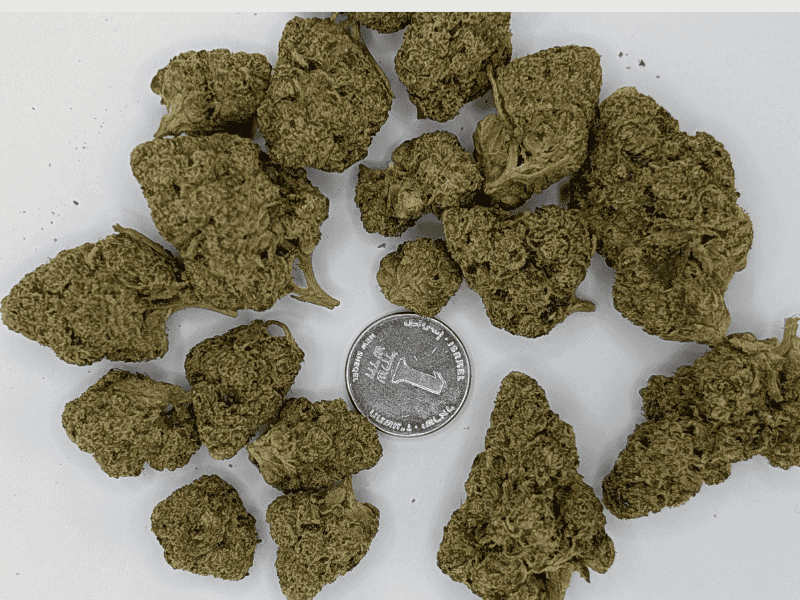 קנאביס רפואי תפרחת וודינג סי קיי - T22/C4 - Wedding CK פיס נטורלס יום\לילה - היברידי