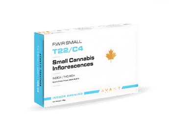 שמן אף.דאבליו.אר סמול - T22/C4 - F.W.R Small