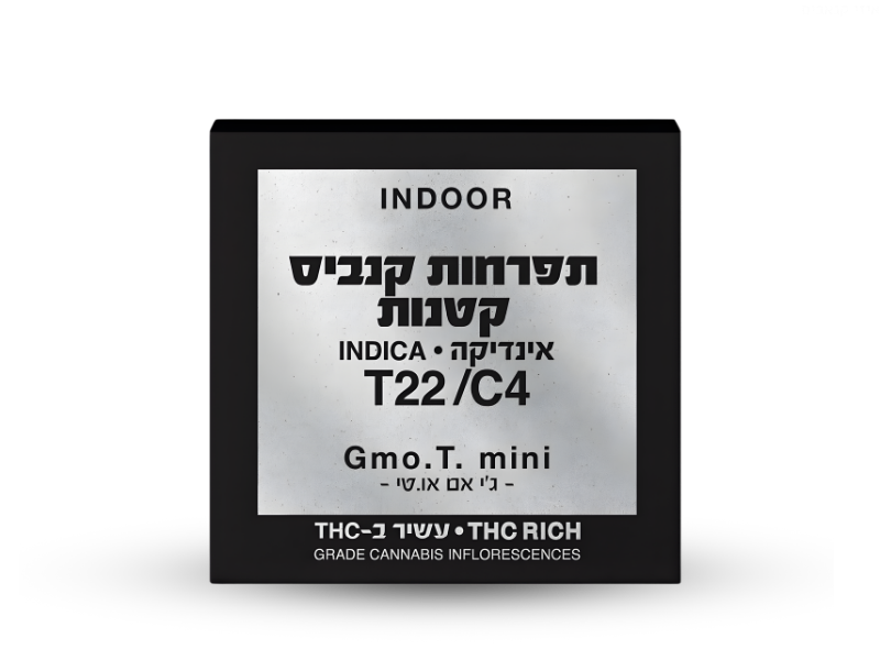 קנאביס רפואי תפרחת ג'י אם או.טי מיני - T22/C4 - GMO.T Mini קנאבר לילה - אינדיקה
