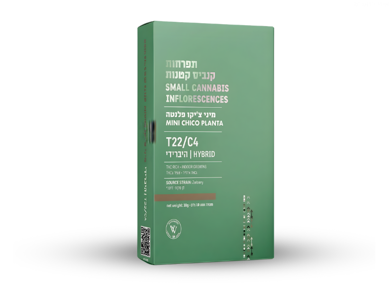 קנאביס רפואי תפרחת פלנטה צ'יקו מיני - T22/C4 - Planta Chico Mini ויטה ורדה יום\לילה - היברידי