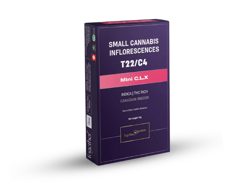 קנאביס רפואי תפרחת סי.אל.אקס - T22/C4 - C.L.X טוגדר פארמה לילה - אינדיקה