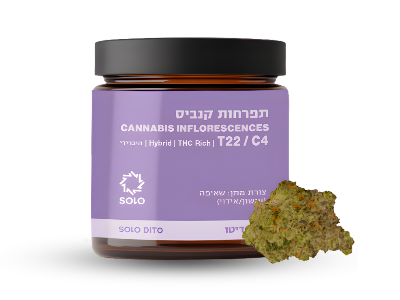 קנאביס רפואי תפרחת סולו דיטו - T22/C4 - SOLO Dito מדוקאן יום\לילה - היברידי