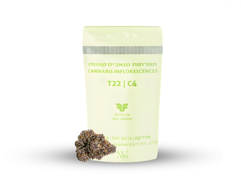 קנאביס רפואי תפרחת גריפין מיני - T22/C4 - Griffiin Mini נובה קנאביס לילה - אינדיקה