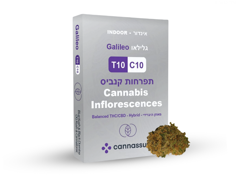 קנאביס רפואי תפרחת גלילאו - T10/C10 - Galileo קנאשור יום\לילה - היברידי