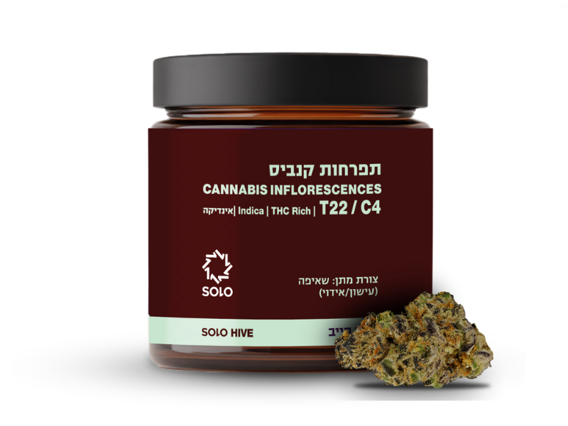 קנאביס רפואי תפרחת סולו הייב - T22/C4 - SOLO Hive מדוקאן לילה - אינדיקה