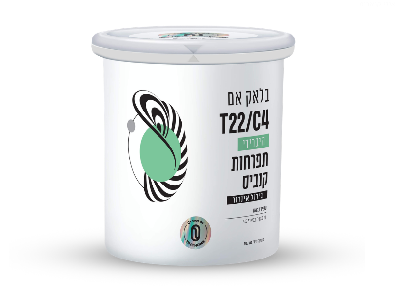 קנאביס רפואי תפרחת בלאק אם - T22/C4 - Black M טריכום יום\לילה - היברידי