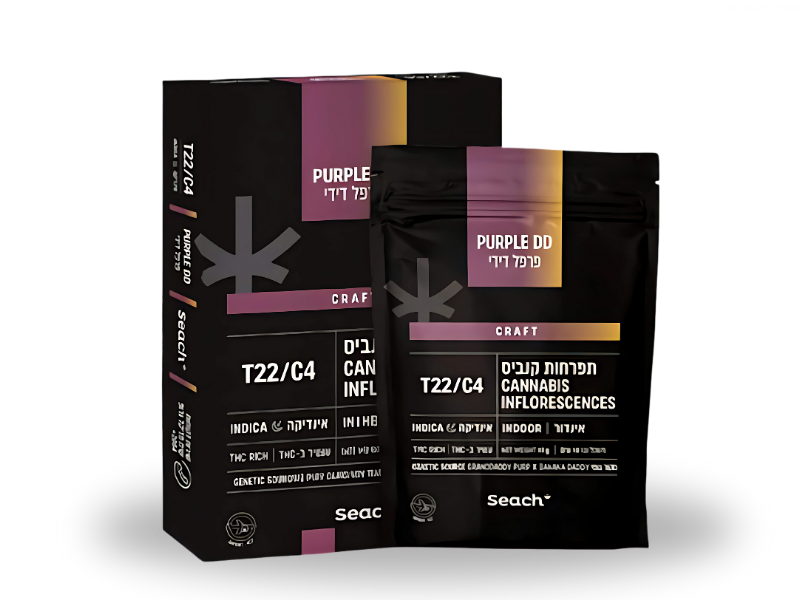 קנאביס רפואי תפרחת פרפל דידי - T22/C4 - Purple DD שיח מדיקל לילה - אינדיקה