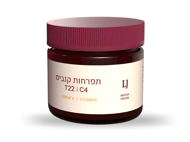 קנאביס רפואי תפרחת צ'אמפה - T22/C4 - Champe קרונוס לילה - אינדיקה