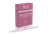 תפרחת קונג 44 מיני - T22/C4