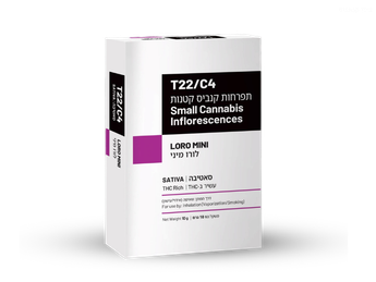תפרחת לורו מיני - T22/C4 - Loro Mini