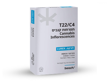 תפרחת לורקס - T22/C4 - Lurex