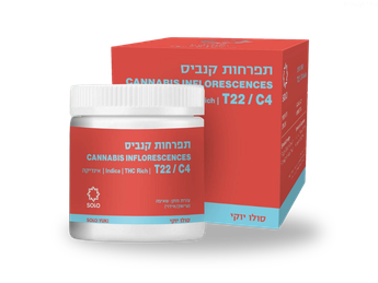 תפרחת סולו יוקי  - T22/C4 - Solo Yuki