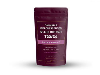 תפרחת ג'י.פי.איי.אי - T22/C4 - G.P.I.E