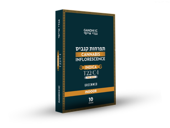 תפרחת גנדי איי.סי - T22/C4 - Gandhi IC