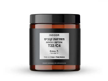 תפרחת ג'י אם או.טי - T22/C4 - GMO.T