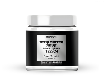 תפרחת ג'י אם או.טי מיני - T22/C4 - GMO.T Mini