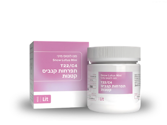 תפרחת סנו לוטוס מיני - T22/C4 - Snow Lotus Mini