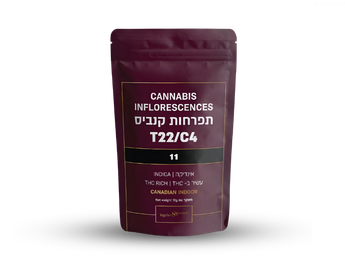 תפרחת 11 - T22/C4 - 11