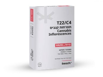תפרחת הייזל - T22/C4 - Hazel