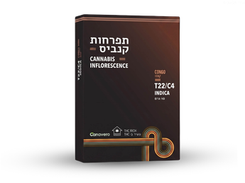 תפרחת קונגו - T22/C4 - CONGO