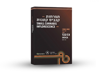 תפרחת קונגו מיני - T22/C4 - CONGO Mini