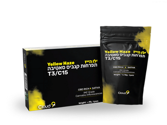 תפרחת ילו הייז - T3/C15 - Yellow Haze